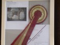 /album/fotogalerie-startseite3/erasmus-slow-champion-koper-1-10-2011-005-jpg1/